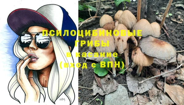 PSILOCYBIN Абинск