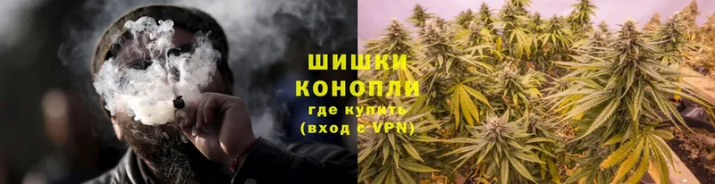 Конопля THC 21%  купить наркоту  Петропавловск-Камчатский 